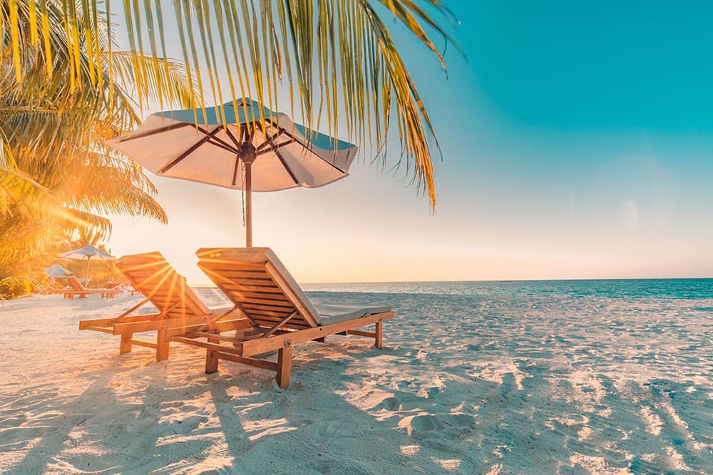 Chairs on the beach with an umbrella for shade