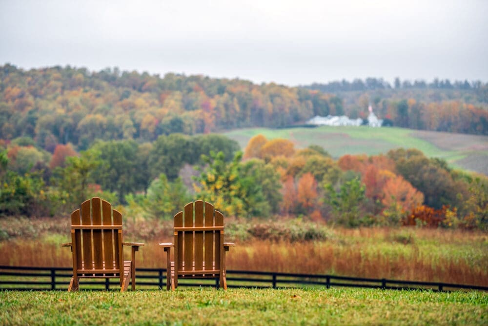 Fall Landscape